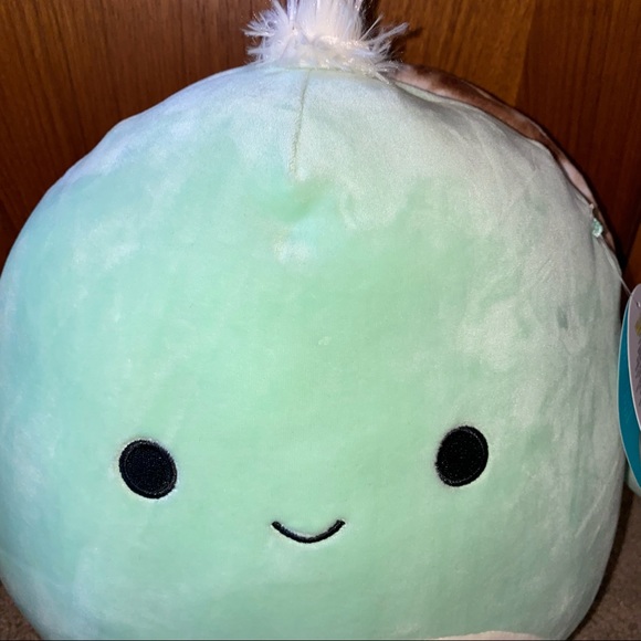 Squishmallows Other 2 Antoni The Turtle Squishmallow Poshmark